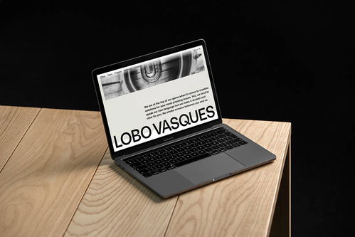 專業(yè)之聲｜LOBO VASQUES精品律師事務(wù)所品牌視覺與廣告設(shè)計(jì)解析