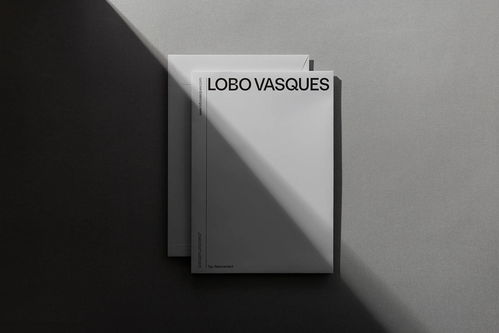 視覺正義 LOBO VASQUES精品律師事務(wù)所品牌形象與廣告設(shè)計(jì)解析